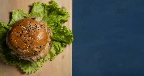 Sesame bread burger with blue background