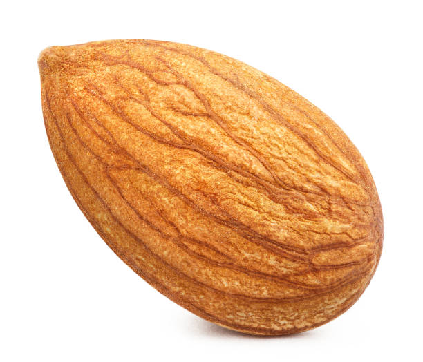 istock Close-up of delicious single almond on white 1309100631