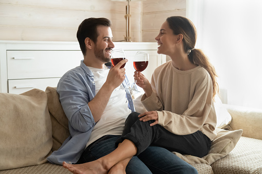 Romantic evening. Affectionate happy millennial family couple sitting on couch at modern living room embracing holding glasses with wine celebrating anniversary relocation buying of new apartment flat