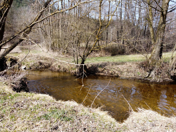 istock A brook  river stream  in Bavaria, aerial view photographed with a 1309104251
