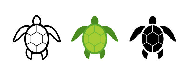 カメのアイコン。亀のアイコンセット。タートルベクターコレクション - turtle green sea turtle silhouette sea点のイラスト素材／クリップアート素材／マンガ素材／アイコン素材