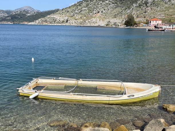 istock sunken boat at the pier 1309105685
