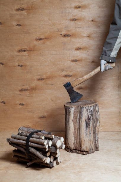 istock Hand holds ax in stump next to firewood 1309106015