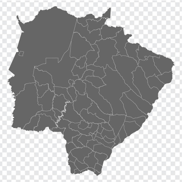 Blank map Mato Grosso do Sul of Brazil. High quality map Mato Grosso do Sul with municipalities on transparent background for your web site design, logo, app, UI.  Brazil.  EPS10. Blank map Mato Grosso do Sul of Brazil. High quality map Mato Grosso do Sul with municipalities on transparent background for your web site design, logo, app, UI.  Brazil.  EPS10. grosso stock illustrations