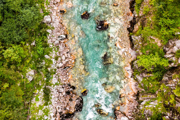 istock The tare river canyon seen from above in Montenegro. 1309107012