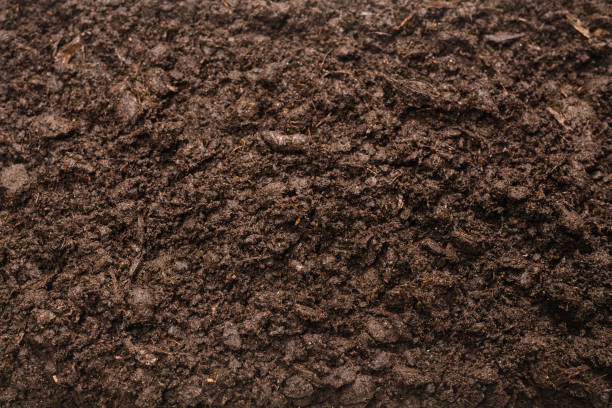 istock Black land for plant background. 1309107157