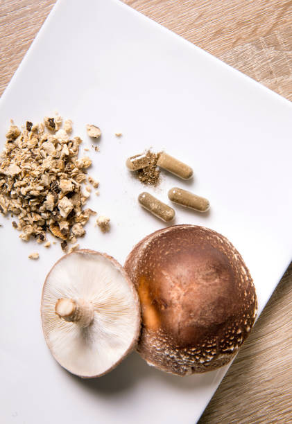 istock Shiitake Lentinus edoides mushroom supplement capsules with fresh Shiitake mushrooms and powdered on white minimal background. Flat lay view. 1309107362