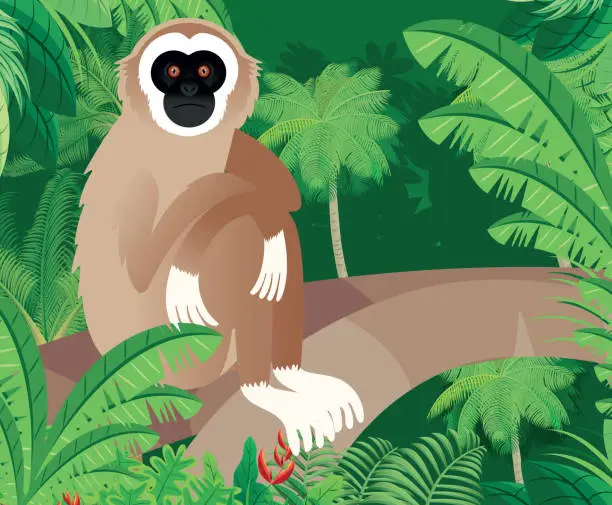 Vector illustration of White-handed Gibbon (Hylobates lar)