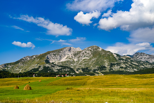 Mountain landscape, Durmitor in Montenegro.