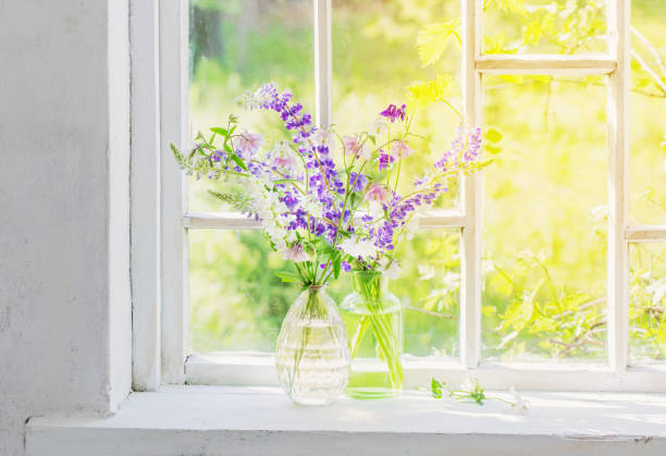 istock summer flowers in vase on windowsill in sunlight 1309108821