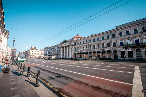 Steer In The Center Of St. Petersburg, Russia