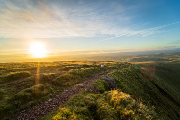 istock Black Mountain in Brecon Beacons National Park, UK 1309110390