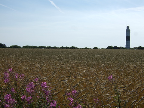 A lighthouse in the background of a summer field