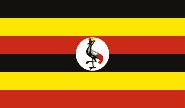 высоко детализированный флаг уганды - уганда флаг высокая деталь - национальный флаг уганды - вектор флага уганды, eps, вектор - africa backgrounds canvas celebration stock illustrations