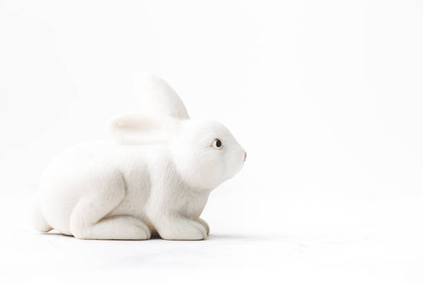 istock Macro shot of white rabbit on the white background. 1309116736
