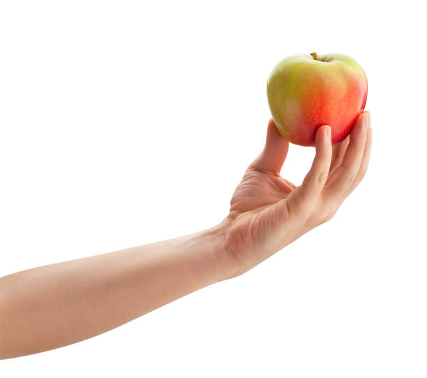 istock red green apple in hand 1309119130