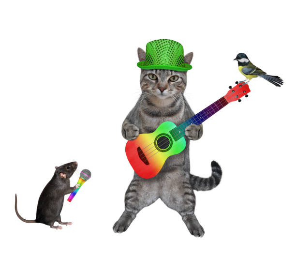 istock Cat gray stands with acoustic guitar 2 1309119380
