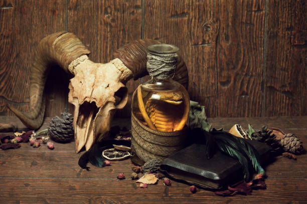 istock Vintage witchcraft still life with snake cobra and skull. 1309122106