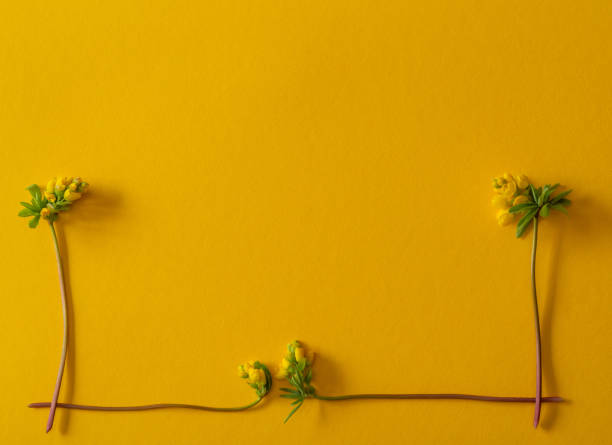 Esta es una idea para una postal de primavera. Pequeñas flores amarillas están sobre un fondo amarillo. - foto de stock