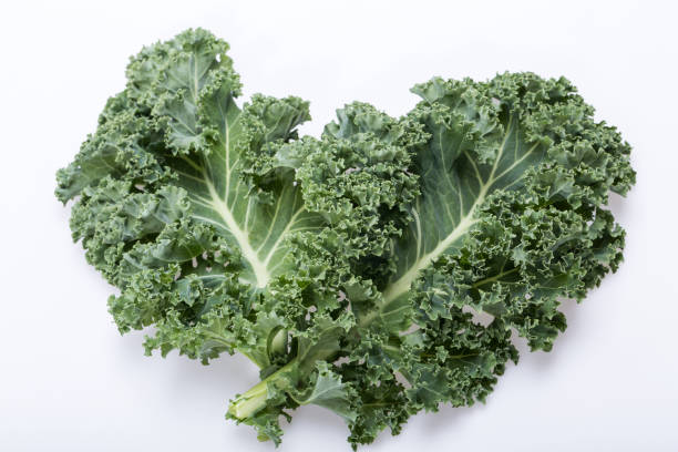 istock A healthy fresh curly kale 1309125363