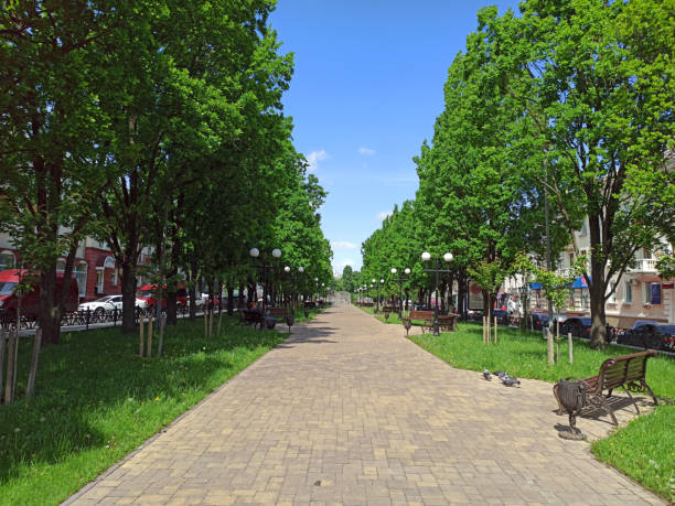 Summer city park with pathway benches and green trees