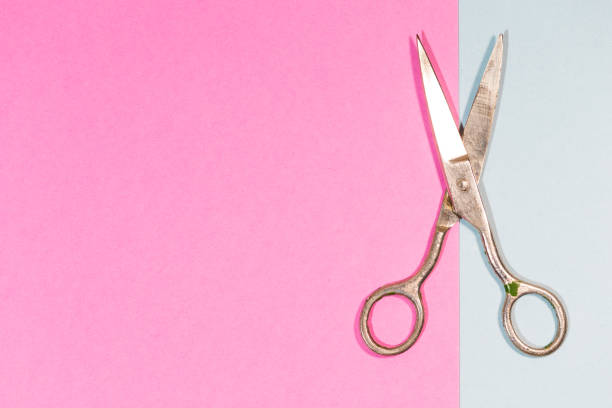istock Pair of Old Used Metal Rusty Scissors Placed Over Pink And Blue Paper Background. Horizontal image 1309128200