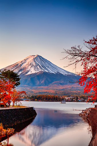 Destinos japón. Árboles de arce rojo frente a la pintoresca montaña Fuji en el lago Kawaguchiko en Japón. Composición vertical de la imagen photo