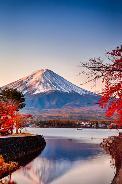 destinos japón. árboles de arce rojo frente a la pintoresca montaña fuji en el lago kawaguchiko en japón. composición vertical de la imagen - japón fotografías e imágenes de stock