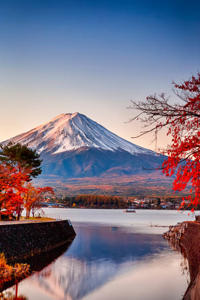 destinations japon. érables rouges devant la montagne pittoresque de fuji au lac kawaguchiko au japon. composition verticale de l’image - lake kawaguchi photos et images de collection