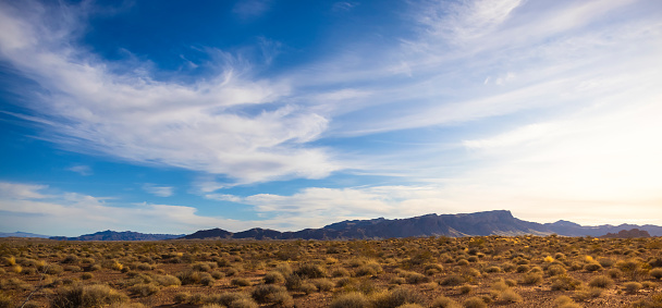 The Overton, Nevada desert on a sunny day.
