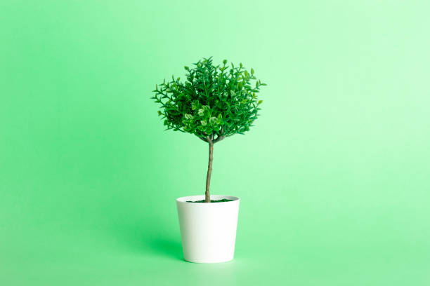 istock Artificial tree plant on an empty colored green nature background. Minimal concept 1309128485
