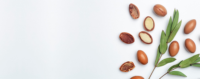 Argan Seeds Isolated On A White Banner Background Argan Oil Nuts With Plant  Cosmetics And Natural Oils Background Stock Photo - Download Image Now -  iStock