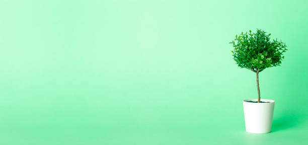 istock Artificial tree plant on an empty colored nature green banner background. Minimal concept 1309129130
