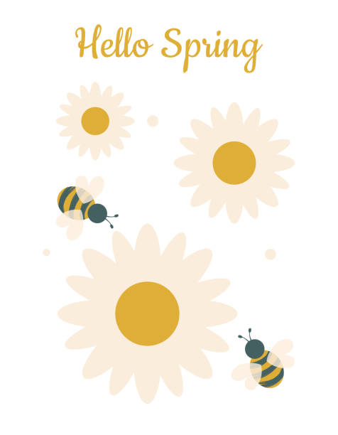 bee i rumianek. witaj wiosna cute karty w modnych kolorach. piękny nadruk do drukowania na naczyniach, tekstyliach, ubraniach, notebookach. grafika wektorowa. - bee backgrounds chamomile plant fragility stock illustrations