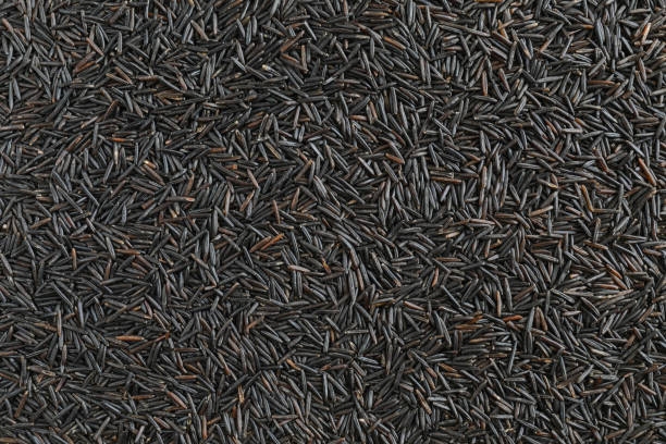 istock Background of wild black rice scattered on the table 1309135422