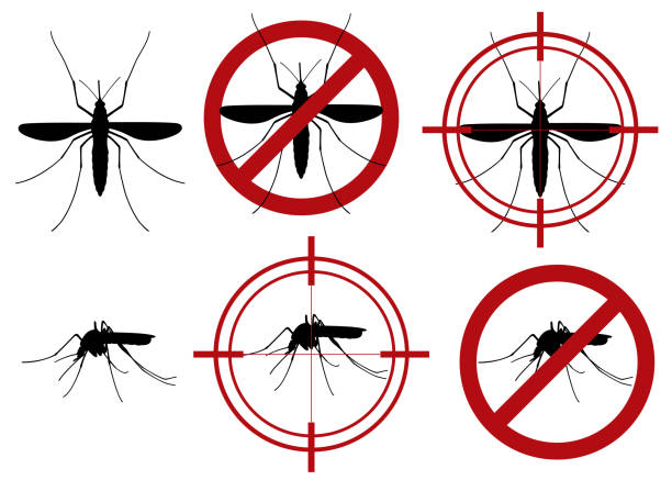 ilustraciones, imágenes clip art, dibujos animados e iconos de stock de ilustración del signo y el objetivo de los mosquitos prohibidos de advertencia - mosquito malaria parasite biting insect