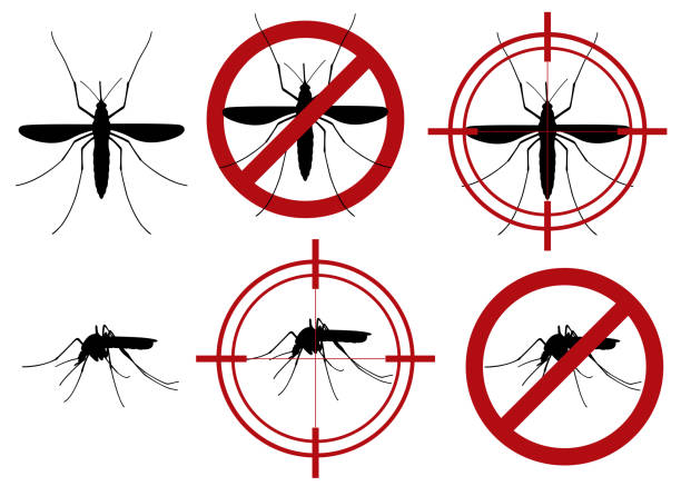 Illustration of warning prohibited mosquitoes sign and target Illustration of warning prohibited mosquitoes sign and target isolated on white parasite infestation stock illustrations