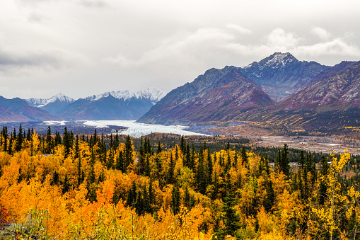 A view of the Matanuska Glacier surrounded by the Matanuska Valley Mountains in the fall.