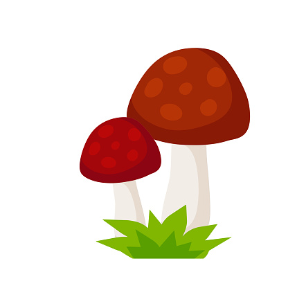 Mushroom with a red cap. Natural natural product. Vegetation element of the forest. Flat cartoon illustration