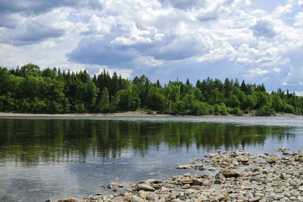 istock Untouched nature, peace and tranquility on the mountain river. 1309141773