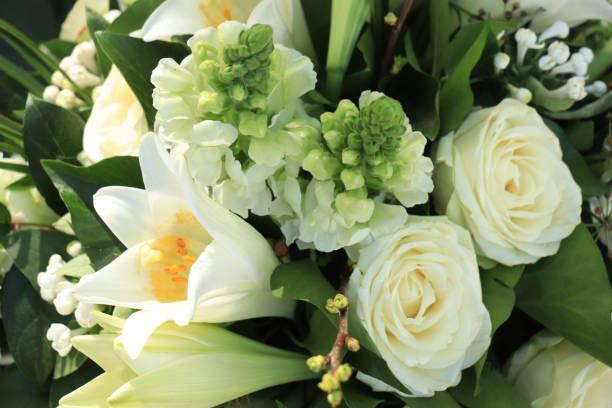 White wedding bouquet stock photo