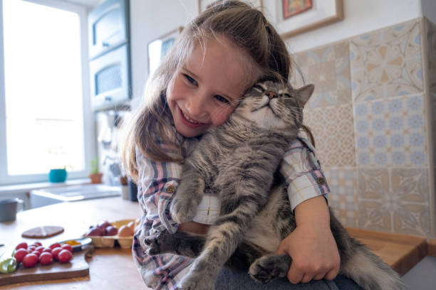 linda niña con su gato - domestic cat child little girls kitten fotografías e imágenes de stock