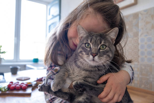 istock Cute little Girl with her Cat 1309144436