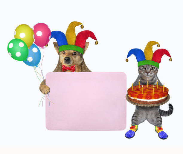 istock Pets clowns near pink blank poster 2 1309145308