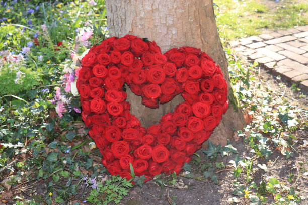 istock Sympathy flower arrangement, red roses 1309145539