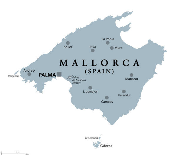 Mallorca, Majorca gray political map Mallorca, gray political map, with capital Palma and important towns. Majorca, largest Island of the autonomous community of the Balearic Islands, part of Spain, located in Mediterranean Sea. Vector. balearic islands stock illustrations