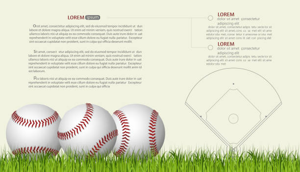 illustrazioni stock, clip art, cartoni animati e icone di tendenza di modello banner baseball, palla da gioco con ombra. vettore - frame pattern design leather