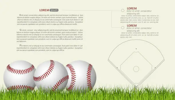 Vector illustration of Baseball Banner template, game ball with shadow. vector