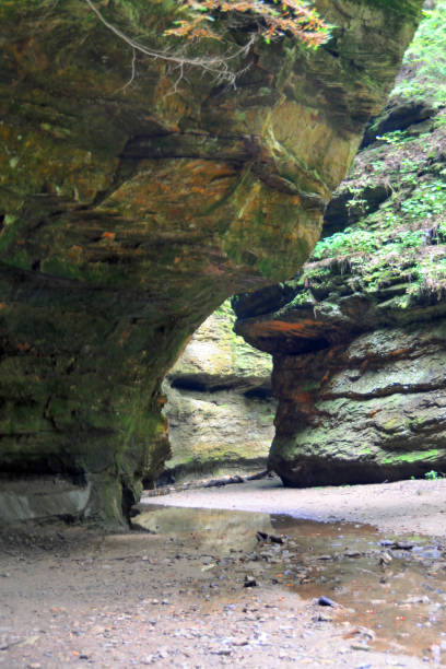 istock Limestone Canyon-Turkey Run, Indiana 1309151937
