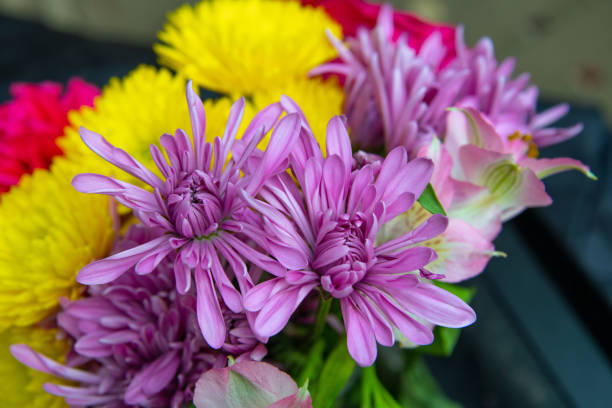 Gerbera, carnation, lisianthus, gentian, spray chrysanthemum, chrysanthemum
